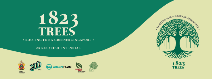 1823-Trees-Banner_website