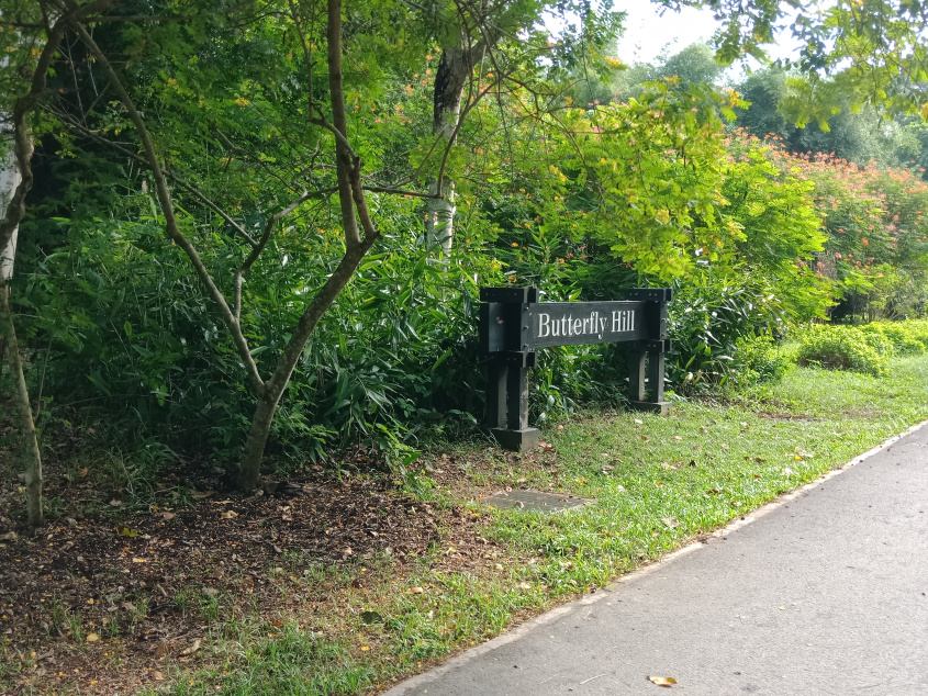 Butterfly Hill Butterfly Hill