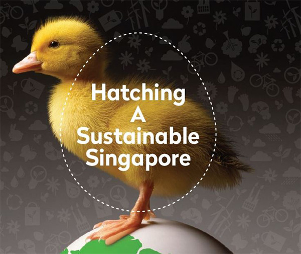 Hatching-a-Sustainable-Singapore-main Hatching a Sustainable Singapore - main