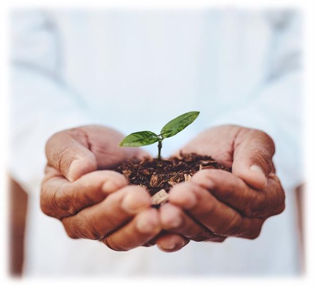 RGC2024_T3_1 RGC2024_T3_1