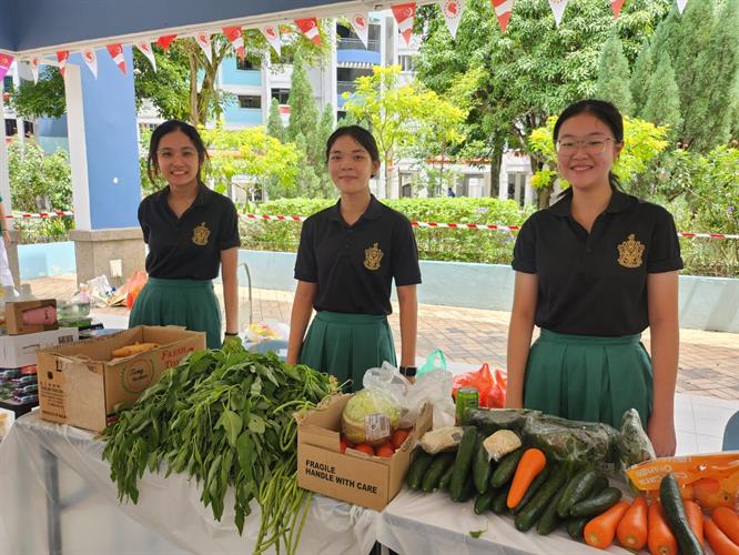 WhatsApp Image 2024-08-17 at 6.21.43 PM WhatsApp Image 2024-08-17 at 6.21.43 PM