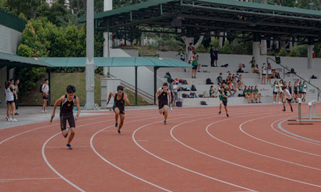 Track-&amp;-Field(resized)
