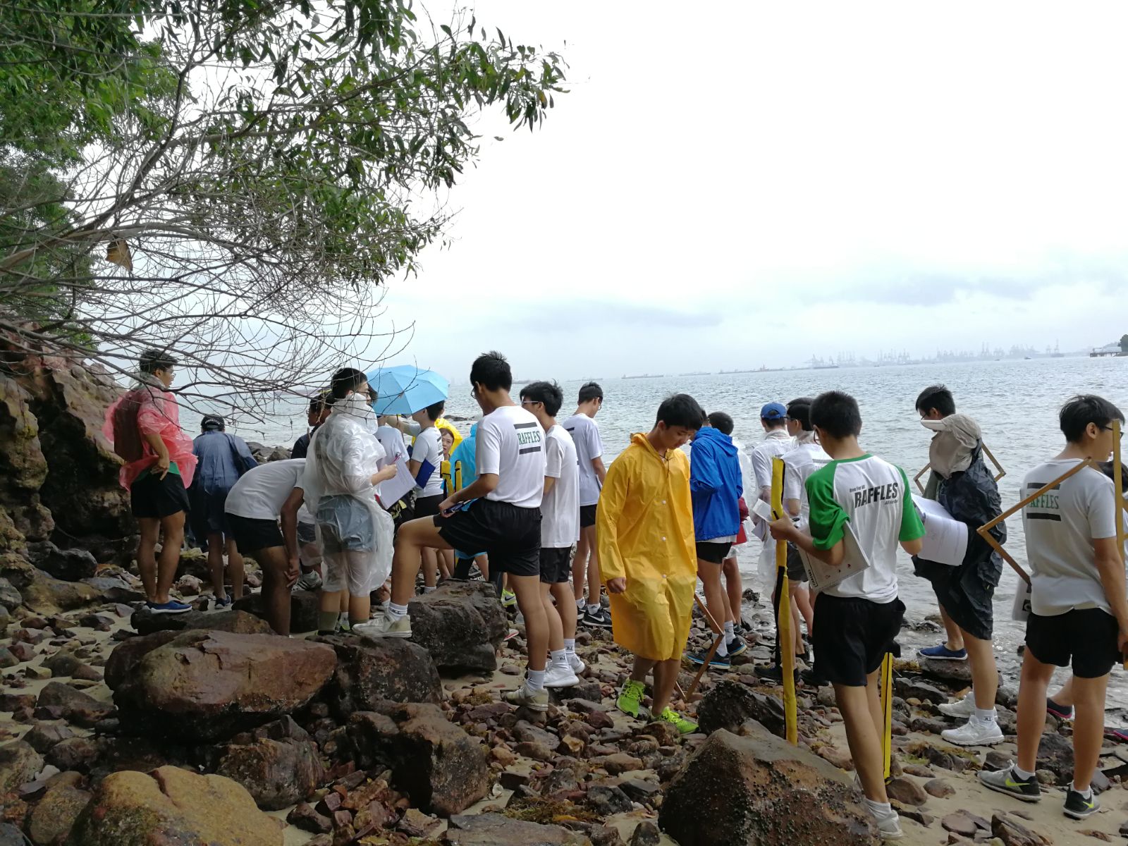 RA Biology and Geography IDFT at St John's Island - Coastal Studies and Ecology